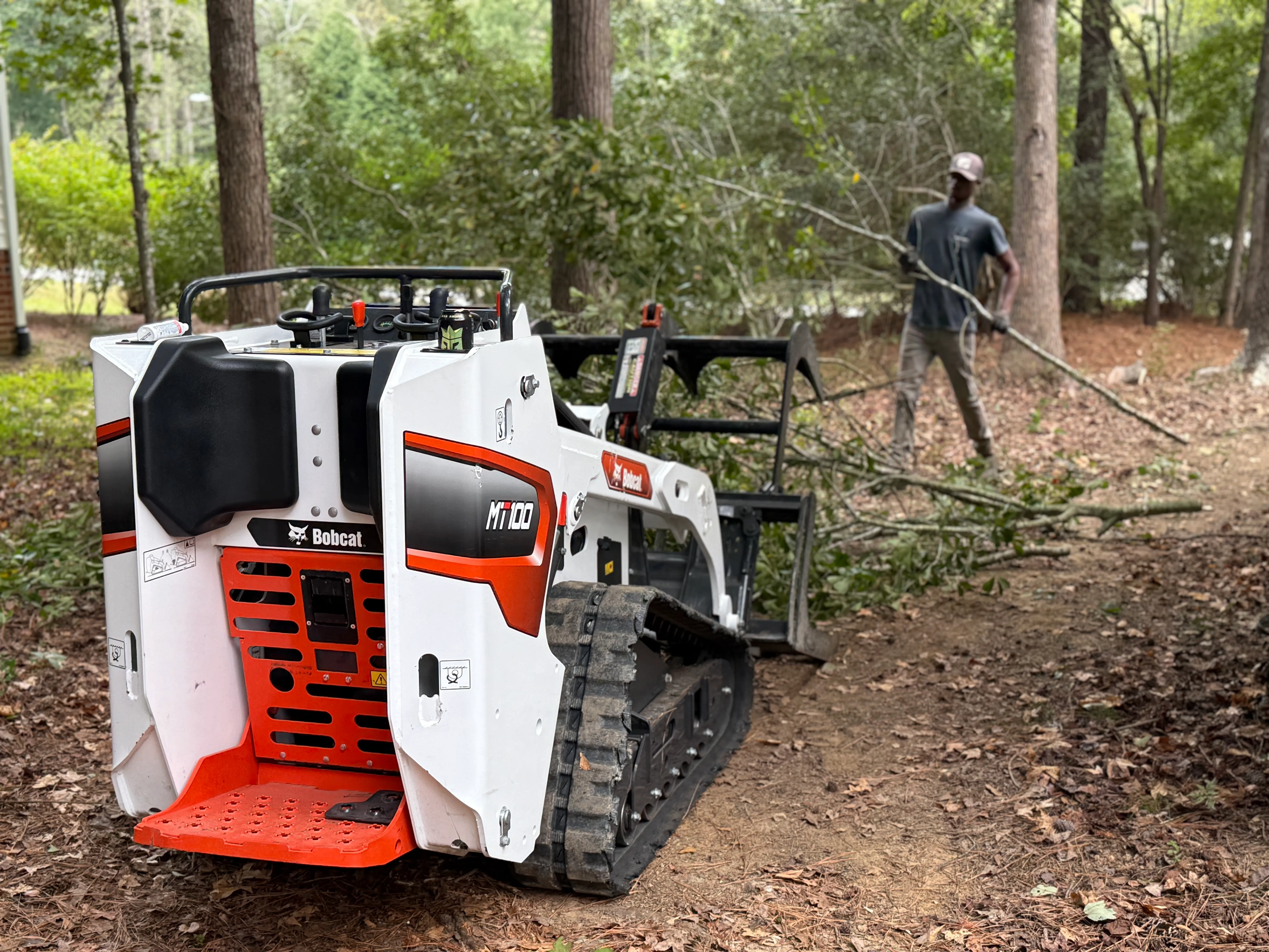 Tree Removal Services in Holly Acres, Coats, NC - Kingdom Landscapes