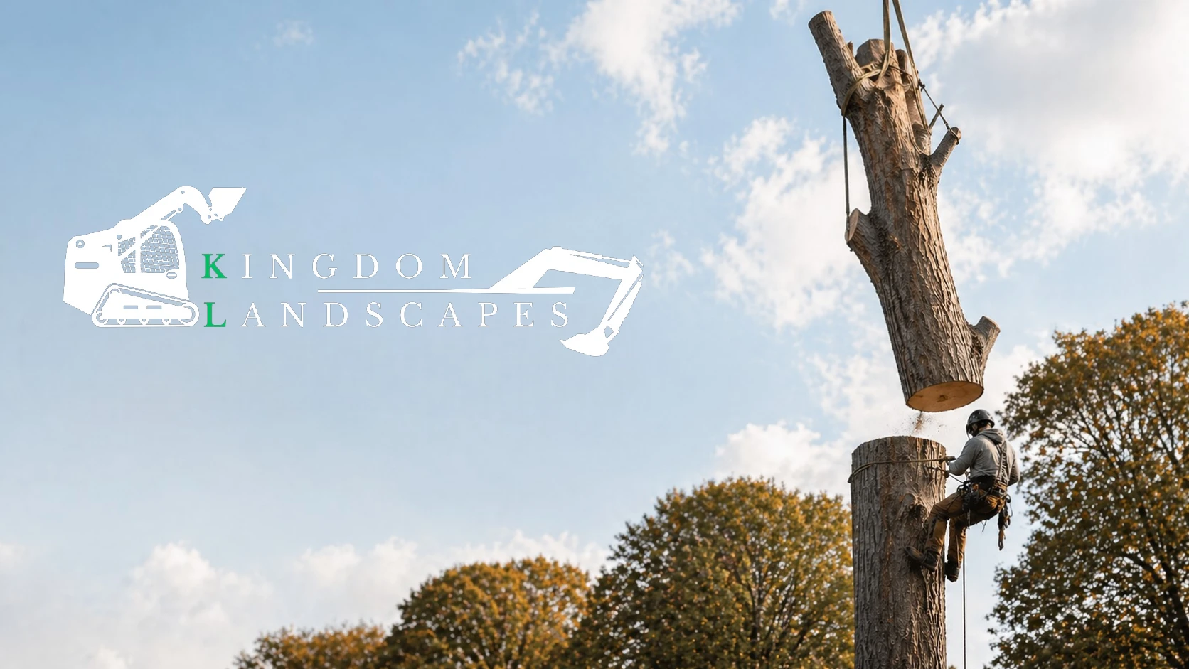 Expert Tree Removal Services in Coats, NC - Kingdom Landscapes