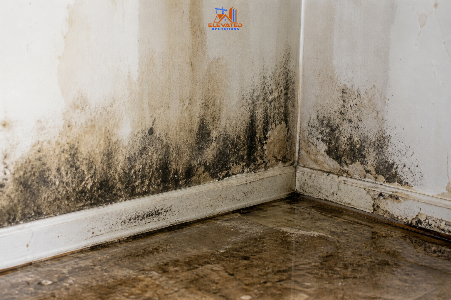 Mold Growth After Water Damage: A Quick Guide for Mableton Homeowners