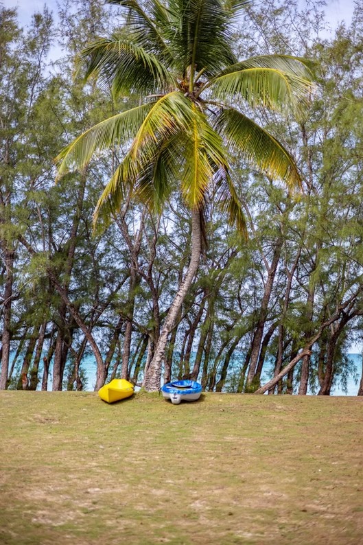 Discover the Ultimate Activities at Gaulding Cay Beach, Eleuthera