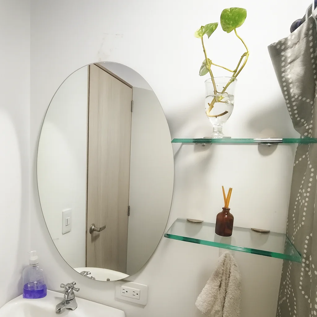 Modern bathroom setting with round mirror and green plant.