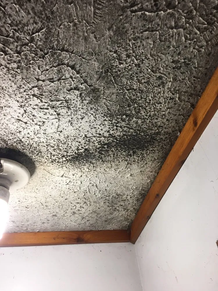 Water Mitigation in Missoula, MT | Superior Fire Flood and Mold