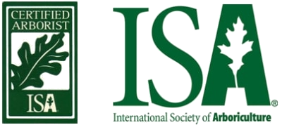 Certified Arborist badge by ISA featuring oak leaf logo