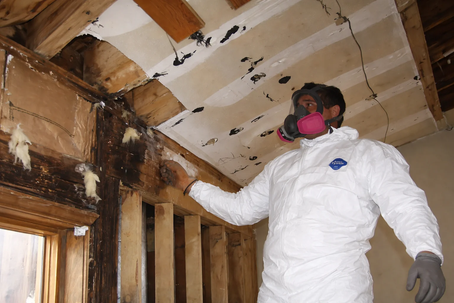 Restoration Services in Bucktown, IL - The CleanUP Guys