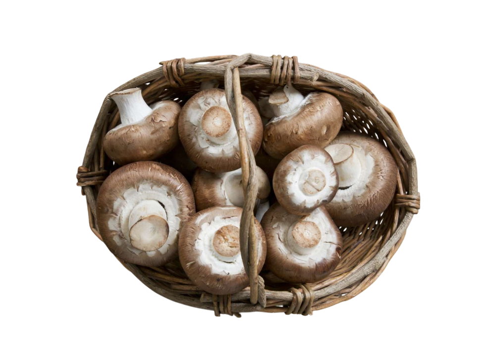 Basket of fresh mushrooms