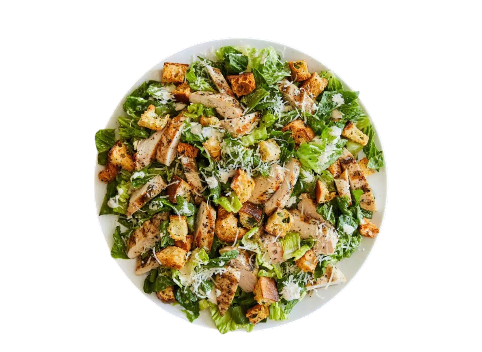 Delicious grilled chicken salad with croutons