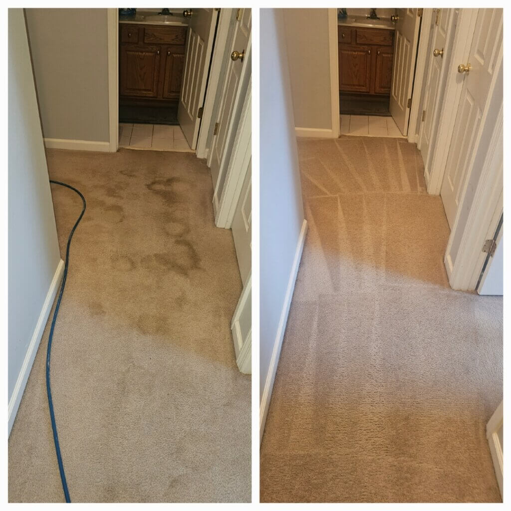 Before and after carpet cleaning comparison
