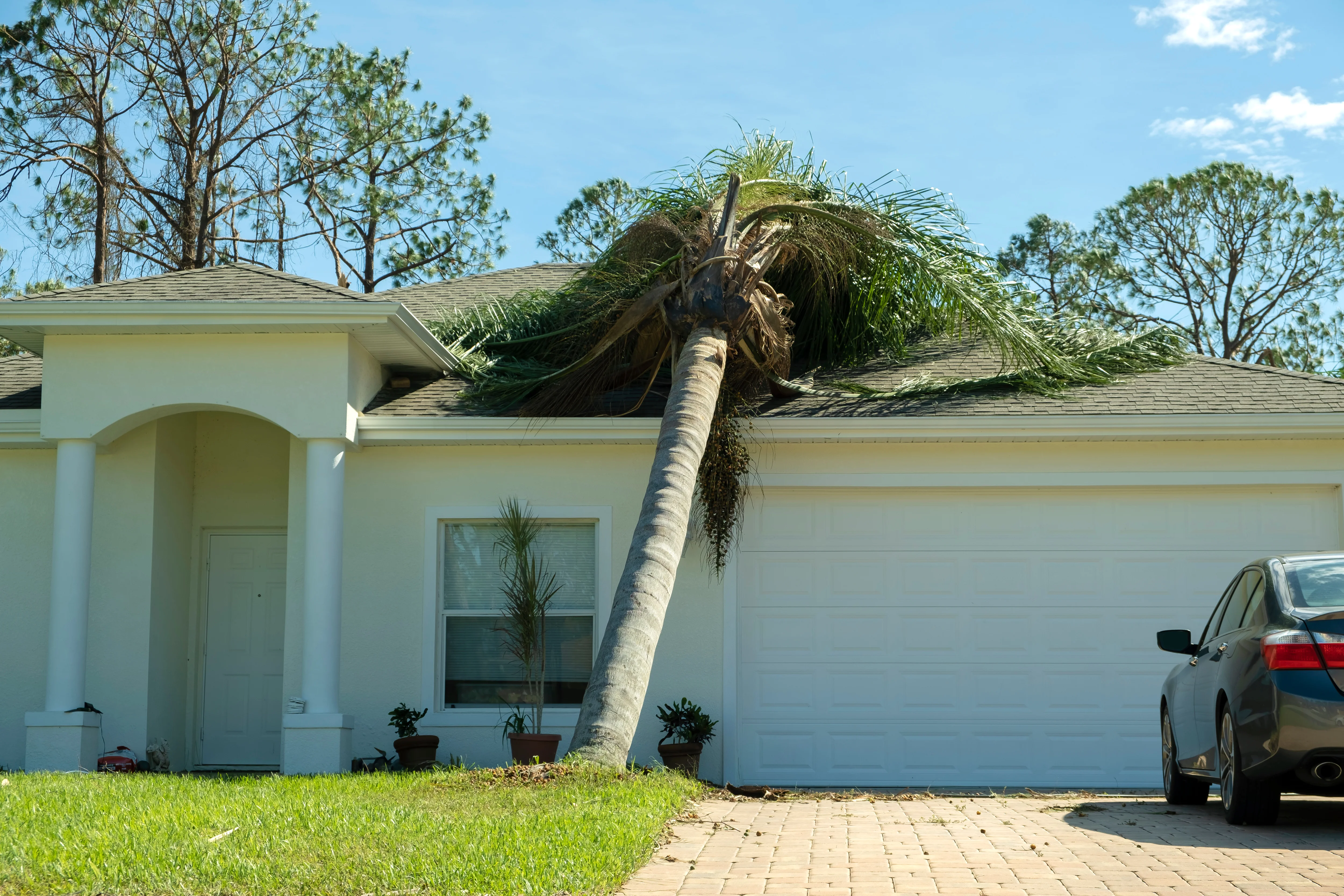 A house with a leaning palm tree in front.