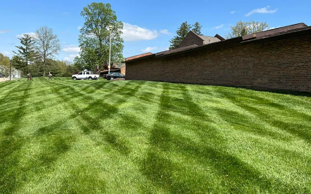 Weed Control