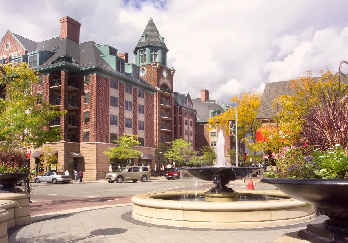 Our Services in Des Plaines, IL