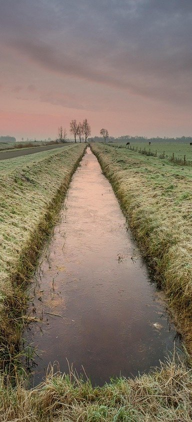 ditch, trench, drain, sunrise, morning, grass, vegetation, nature, landscape, trench, trench, trench, trench, trench, drain, drain