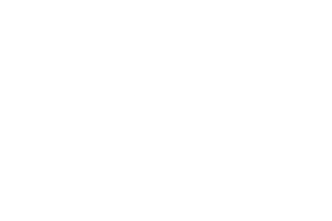 Notch Logo.png