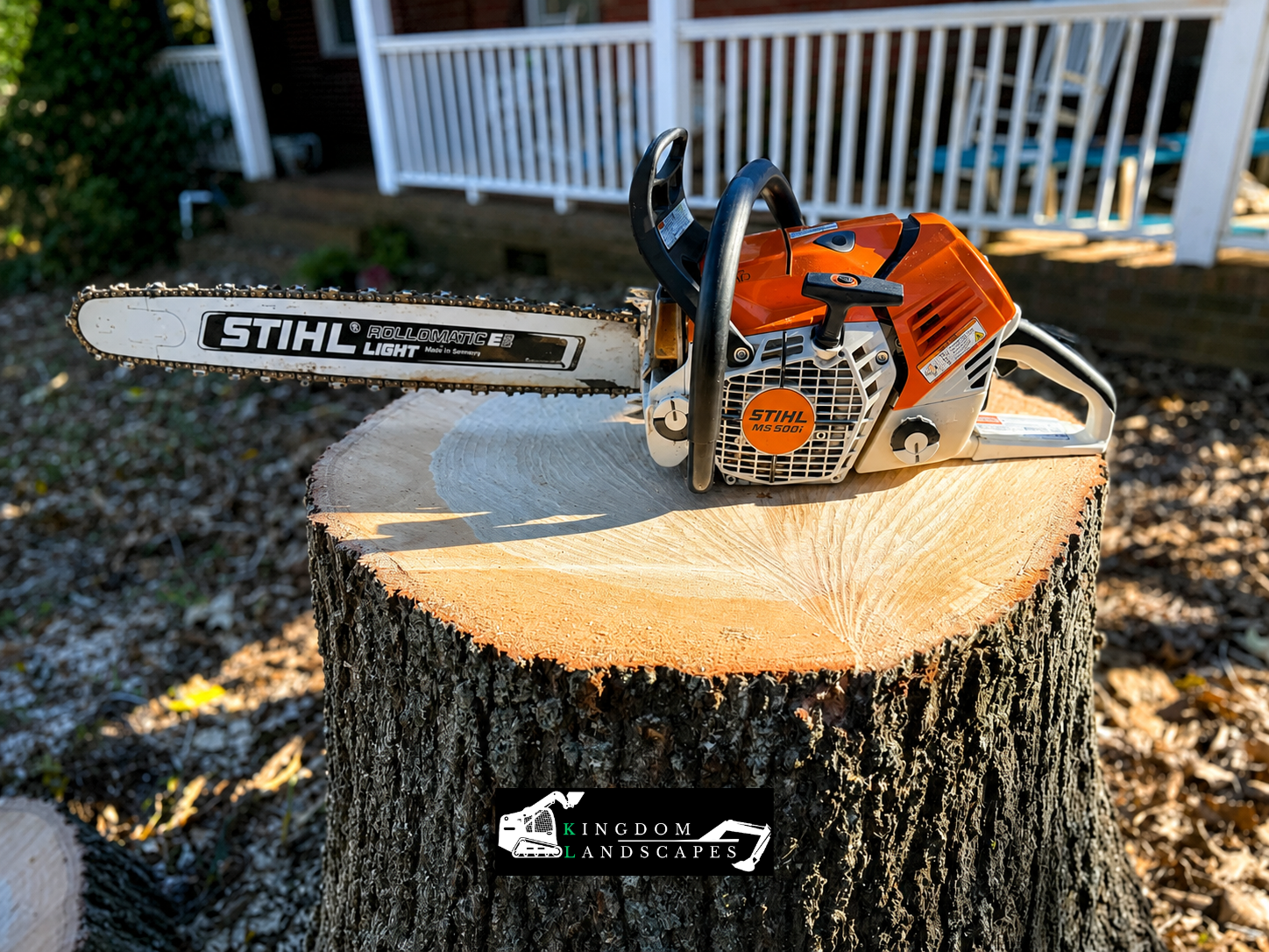 Expert Tree Removal in Coats, NC: Why Professional Cutting Is Safer Than DIY