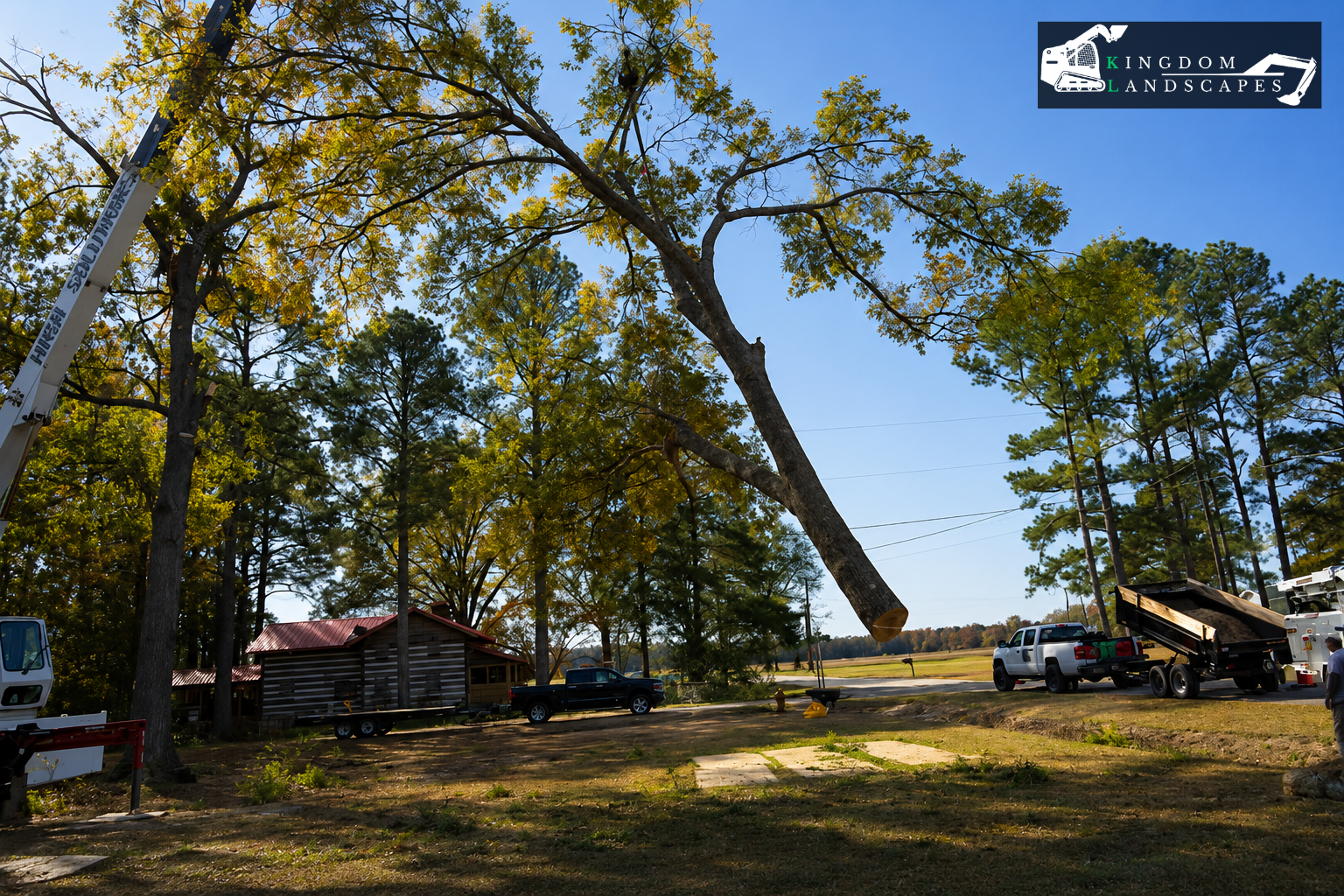 Expert Tree Removal in Coats, NC: Protect Your Home and Family from Hazardous Trees