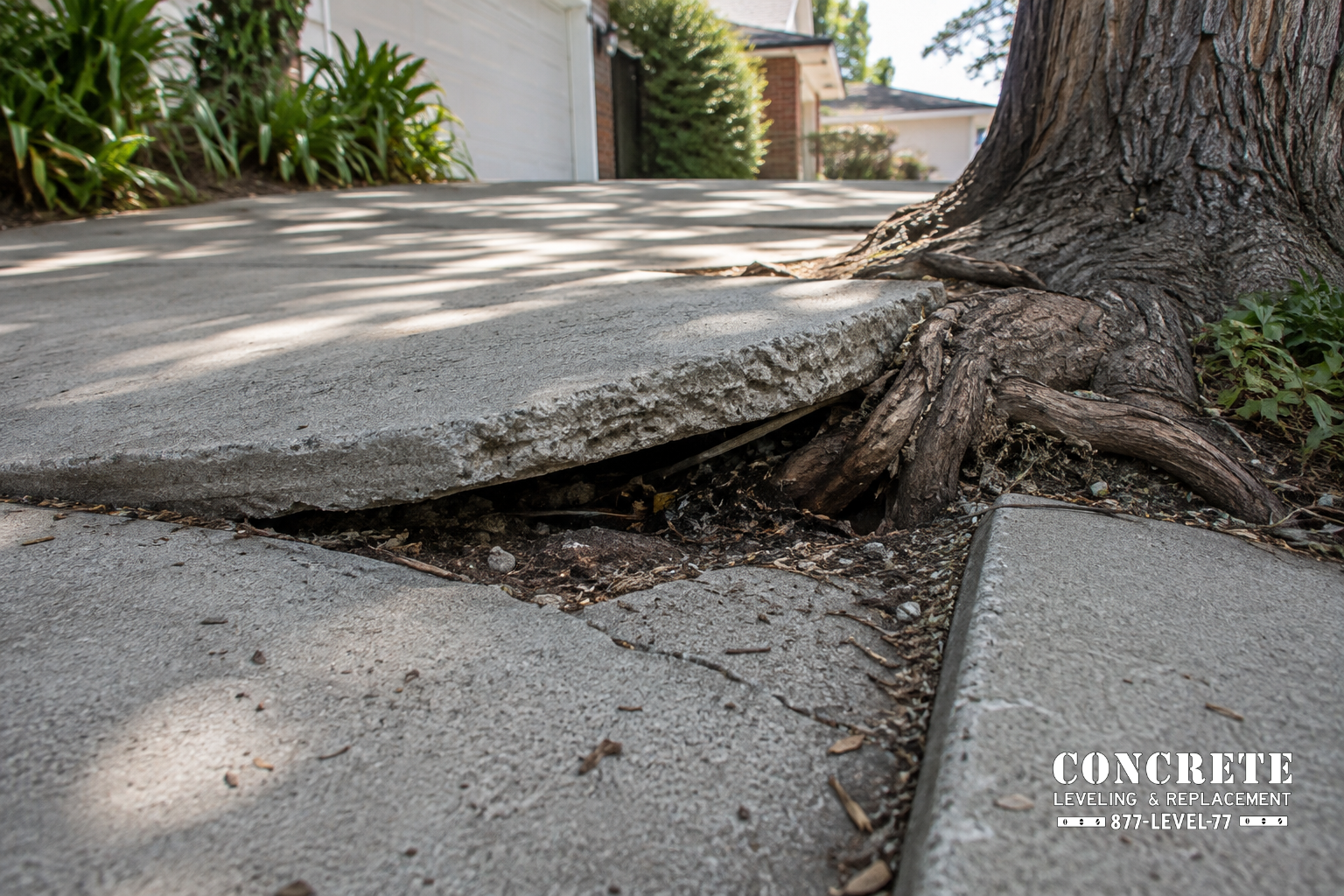 Your Go-To Guide for Why Sidewalks and Driveways Shift Over Time
