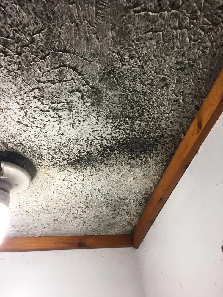 Textured gray ceiling with wooden trim and light fixture
