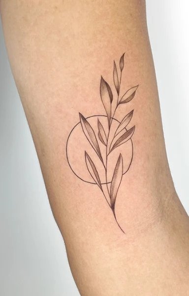 Elegant minimalistic tattoo of a plant design on an arm.