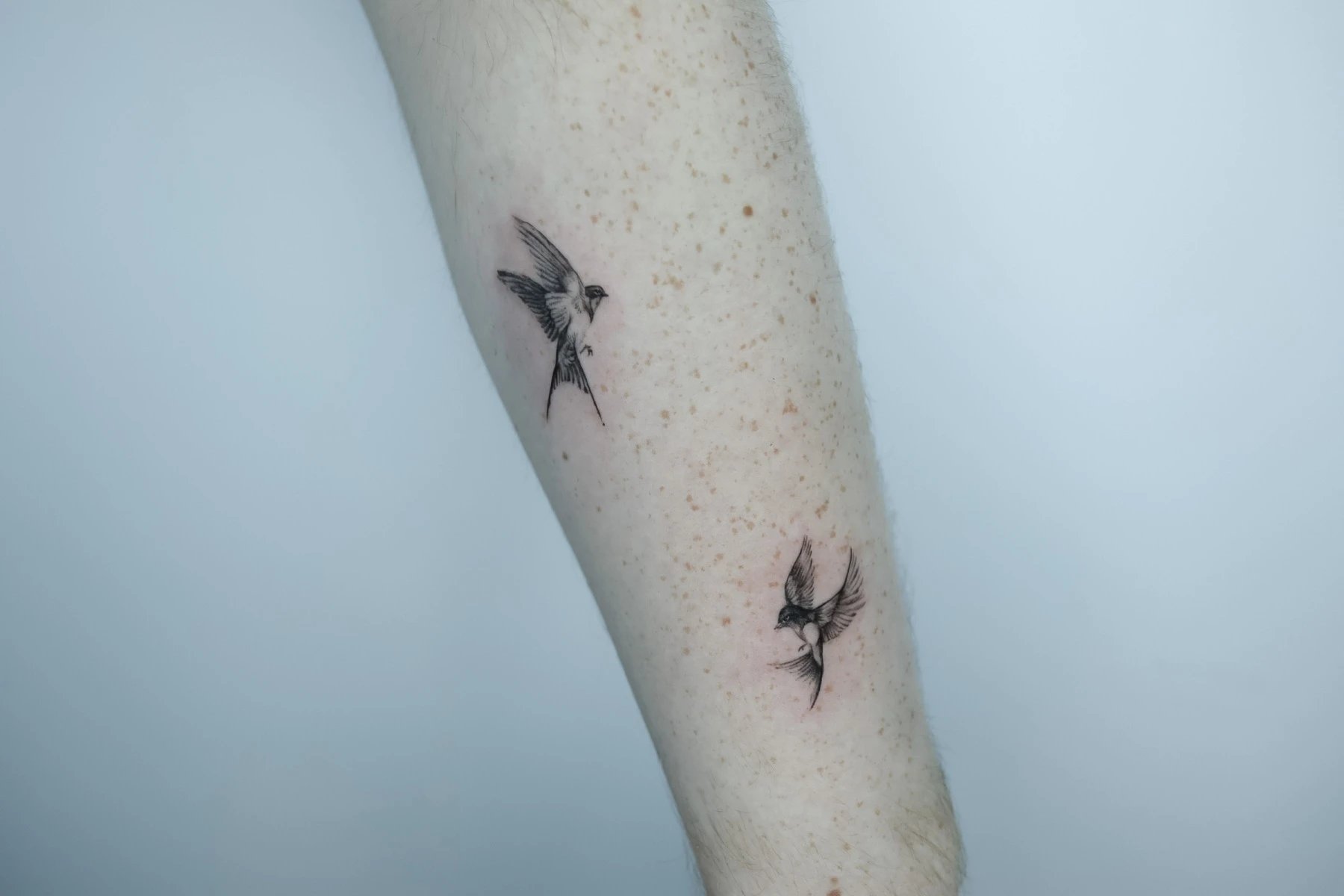 Tattoo of two birds on a forearm