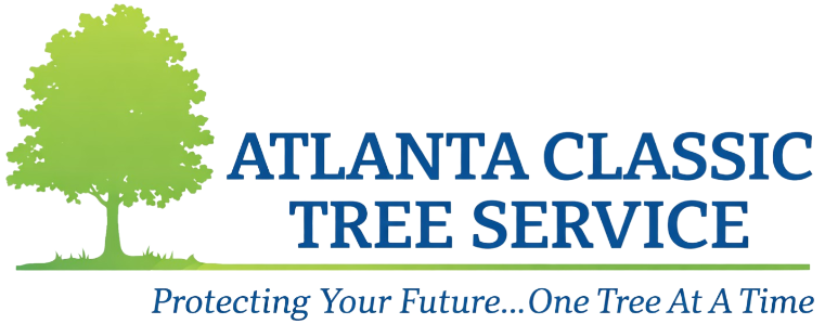 Atlanta Classic Tree