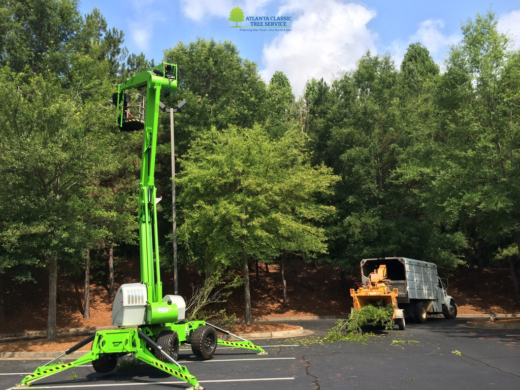 How Modern Tree Removal Tools Make Jobs Safer and Faster
