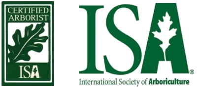 Certified Arborist badge by ISA featuring oak leaf logo