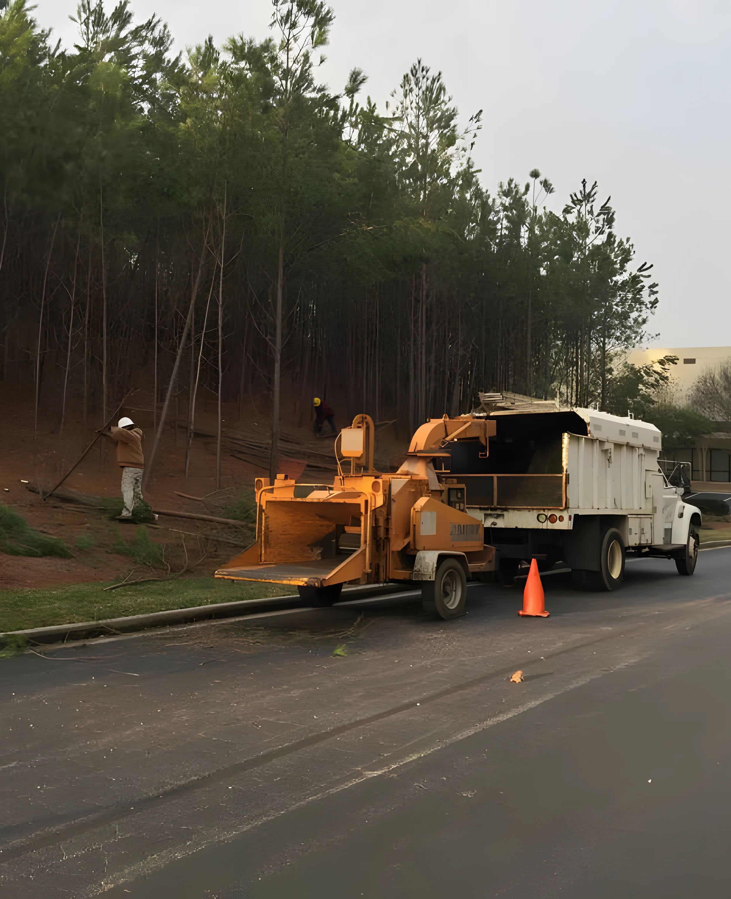 Tree maintenance crew using a chipper truck on roadside.