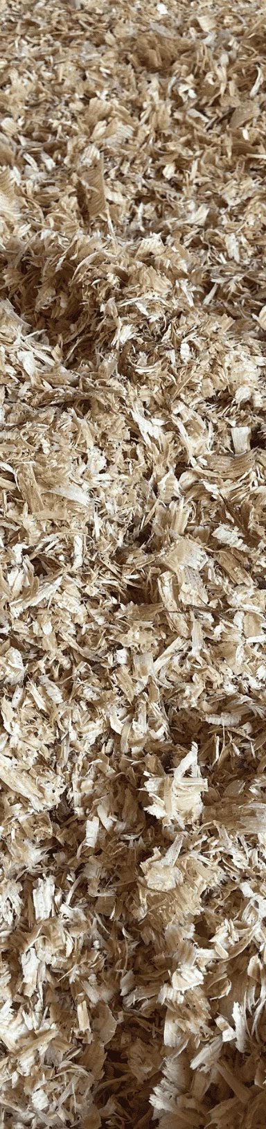 Wood shavings spread over a surface.