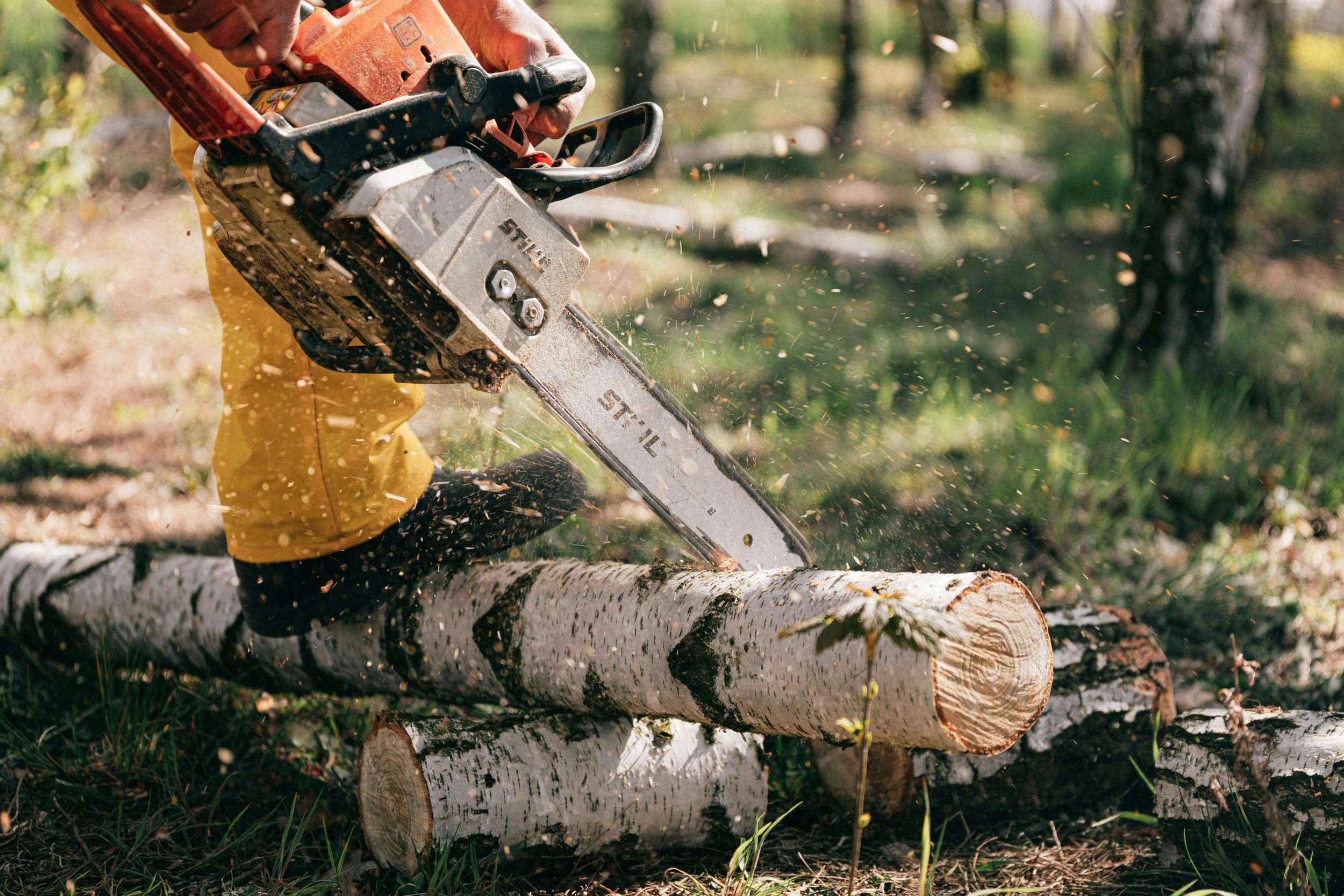 Person using a chainsaw on a log outdoors