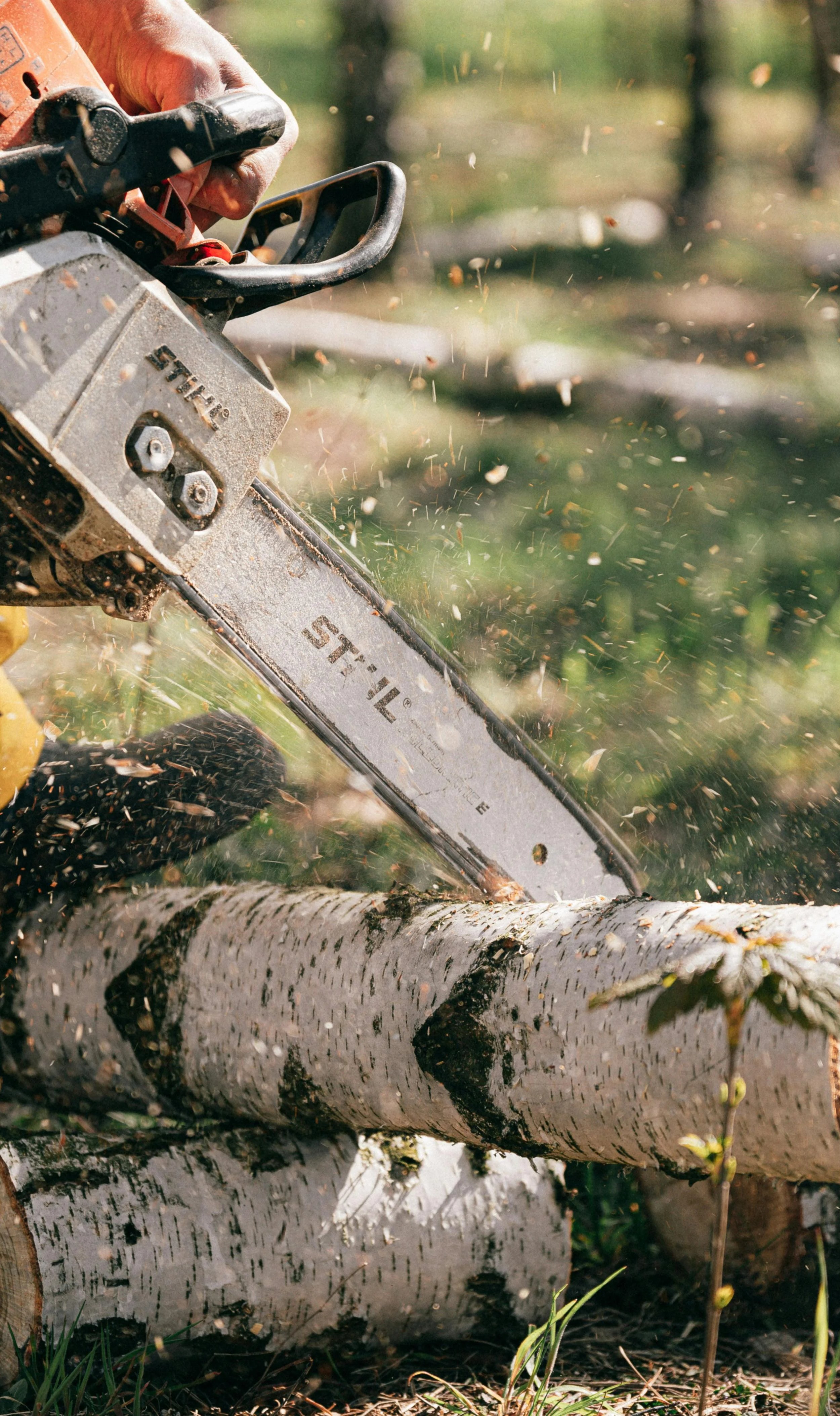 Person using a chainsaw on a log outdoors