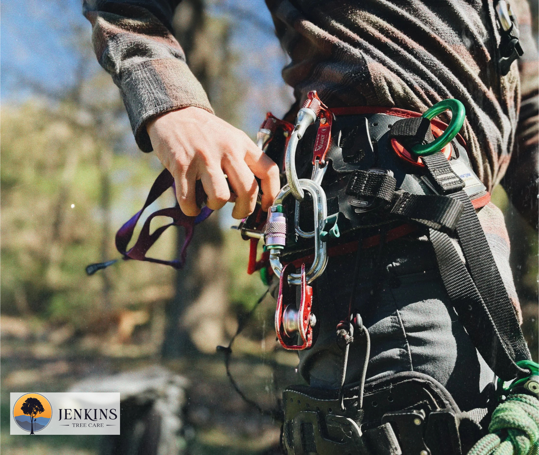 Essential Guide to Safe and Efficient Tree Climbing for Tree Care Professionals
