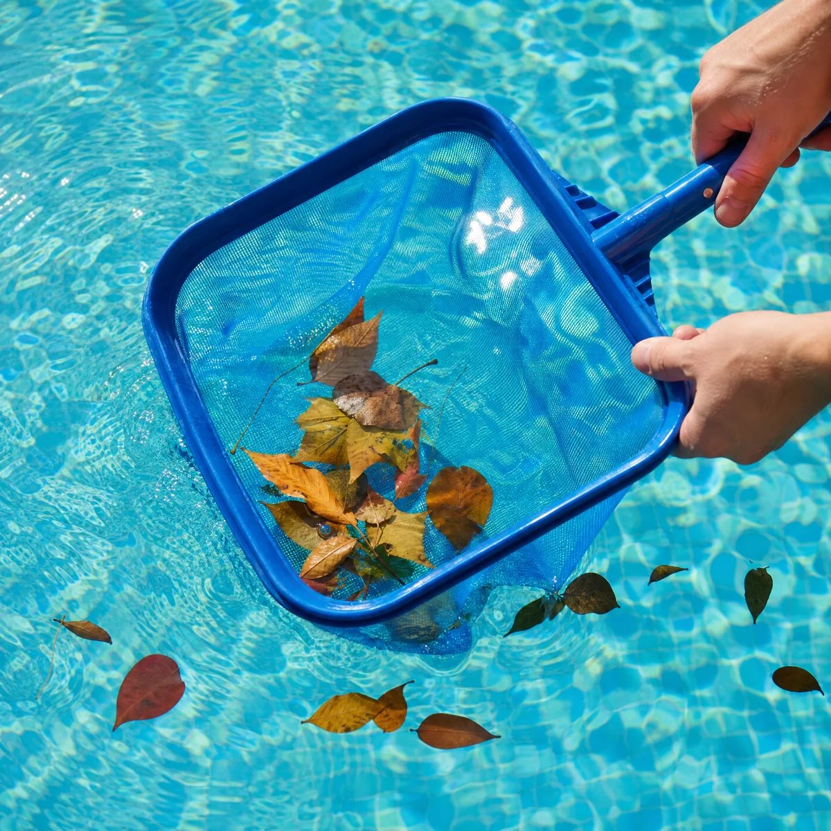 Person using a pool skimmer to collect leaves from water
