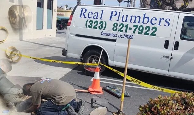 Real Plumbers Service Team