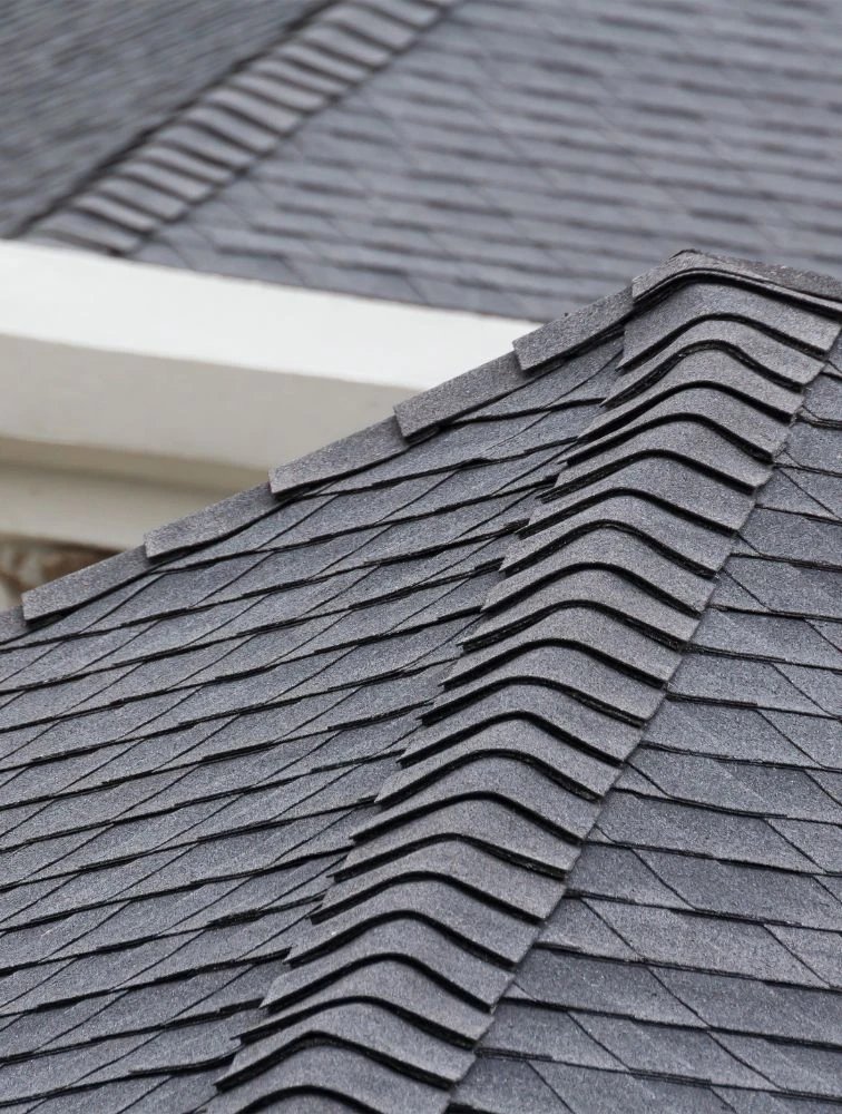 Close-up of asphalt shingles on a roof