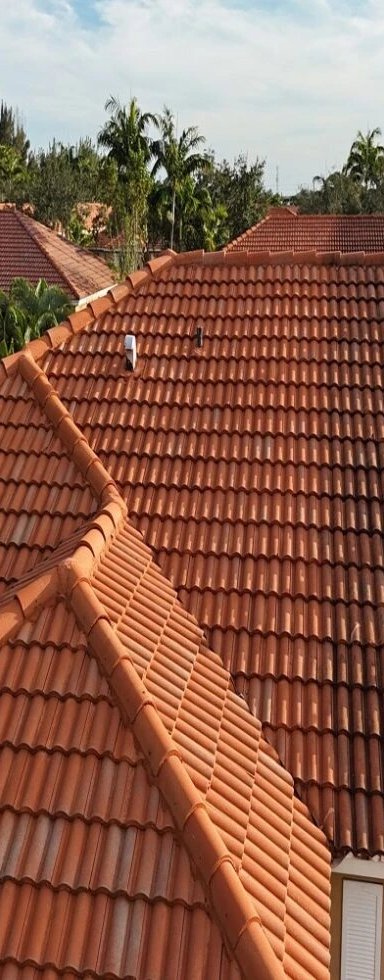 Aerial view of terracotta tile roofs in a residential area.