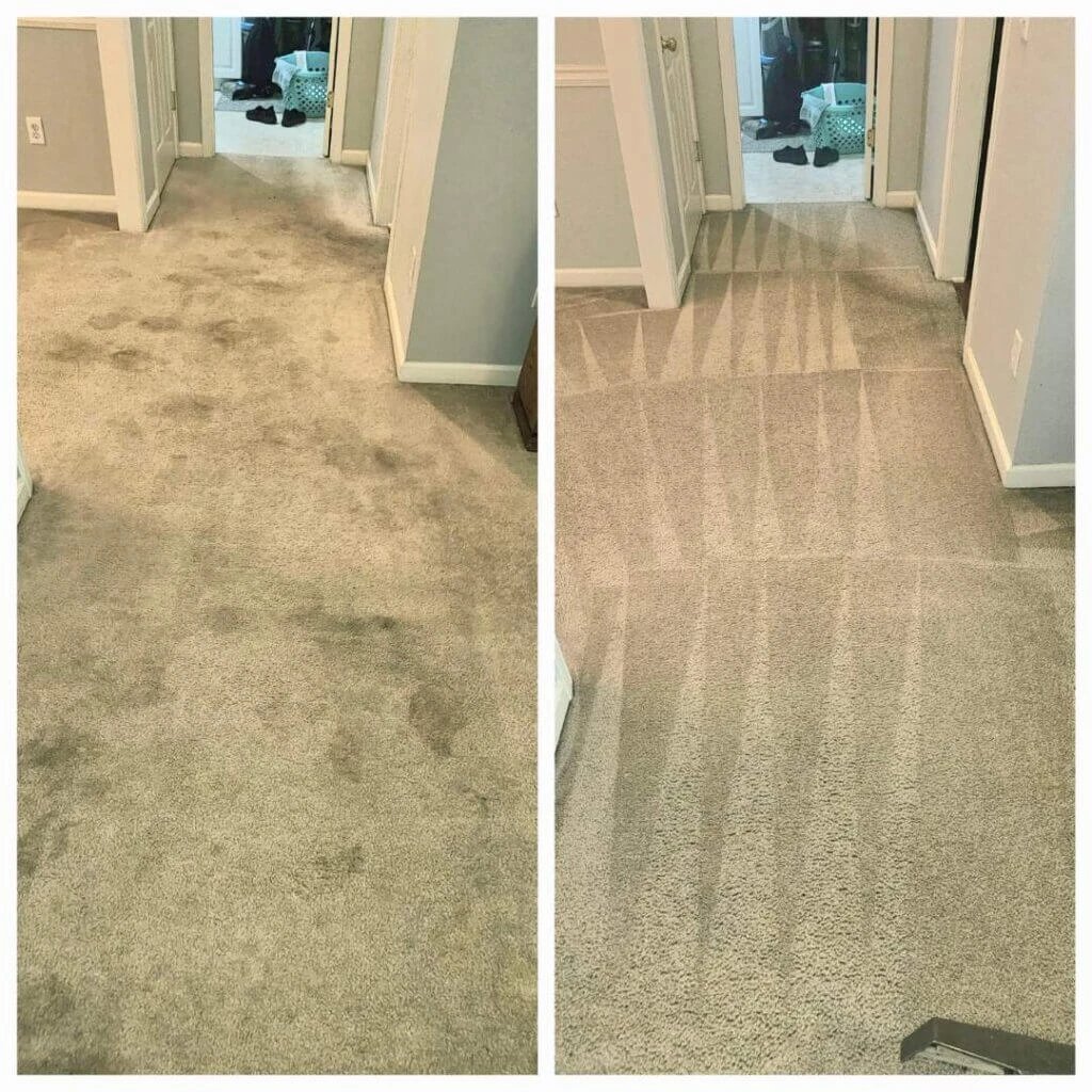 Before and after carpet cleaning comparison