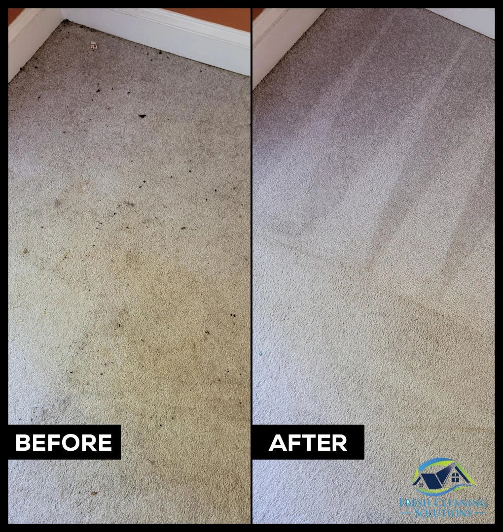 Before and after carpet cleaning showing transformation