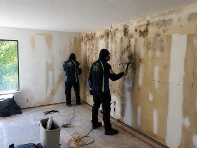 Workers removing mold from a wall in a room.