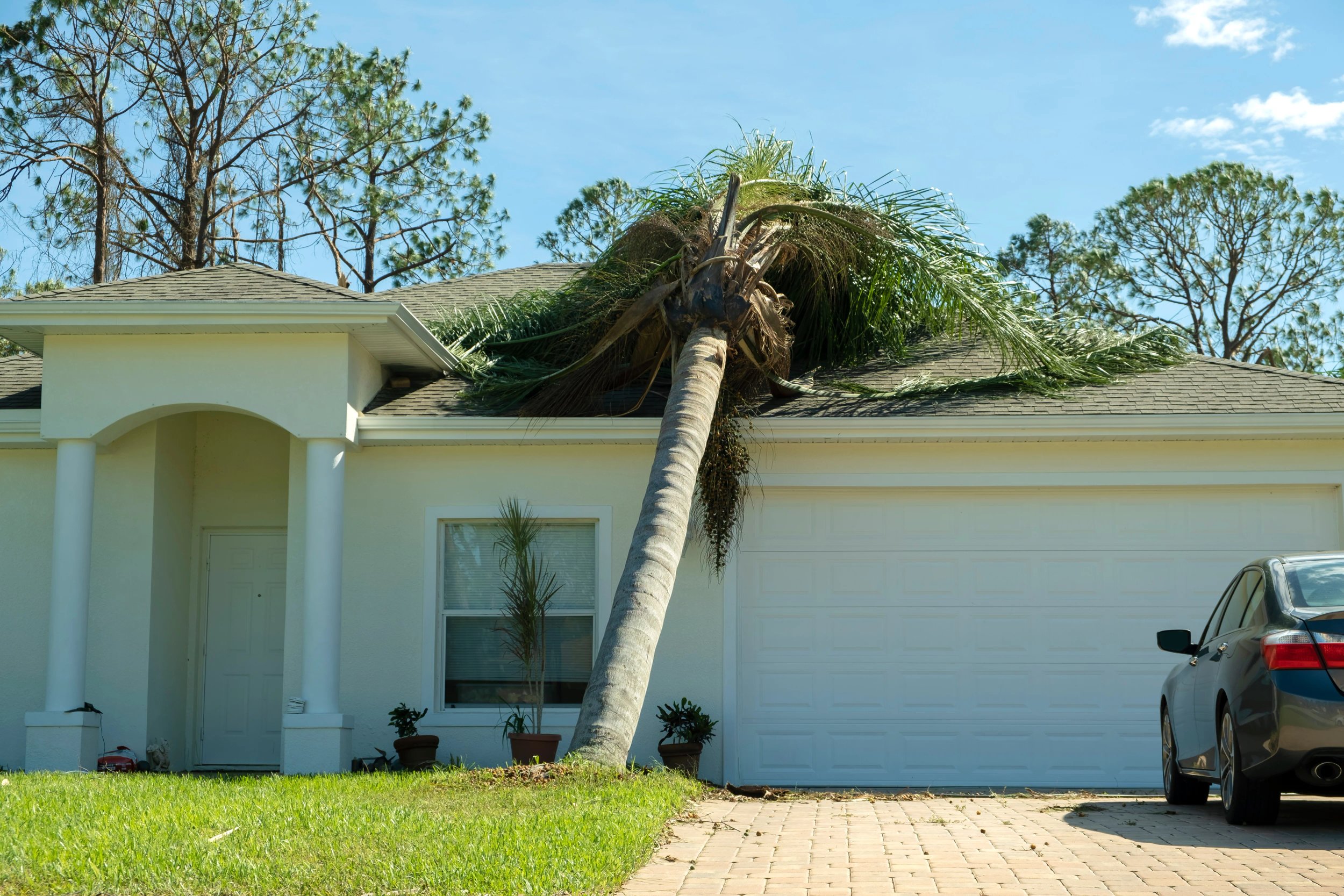 A house with a leaning palm tree in front.
