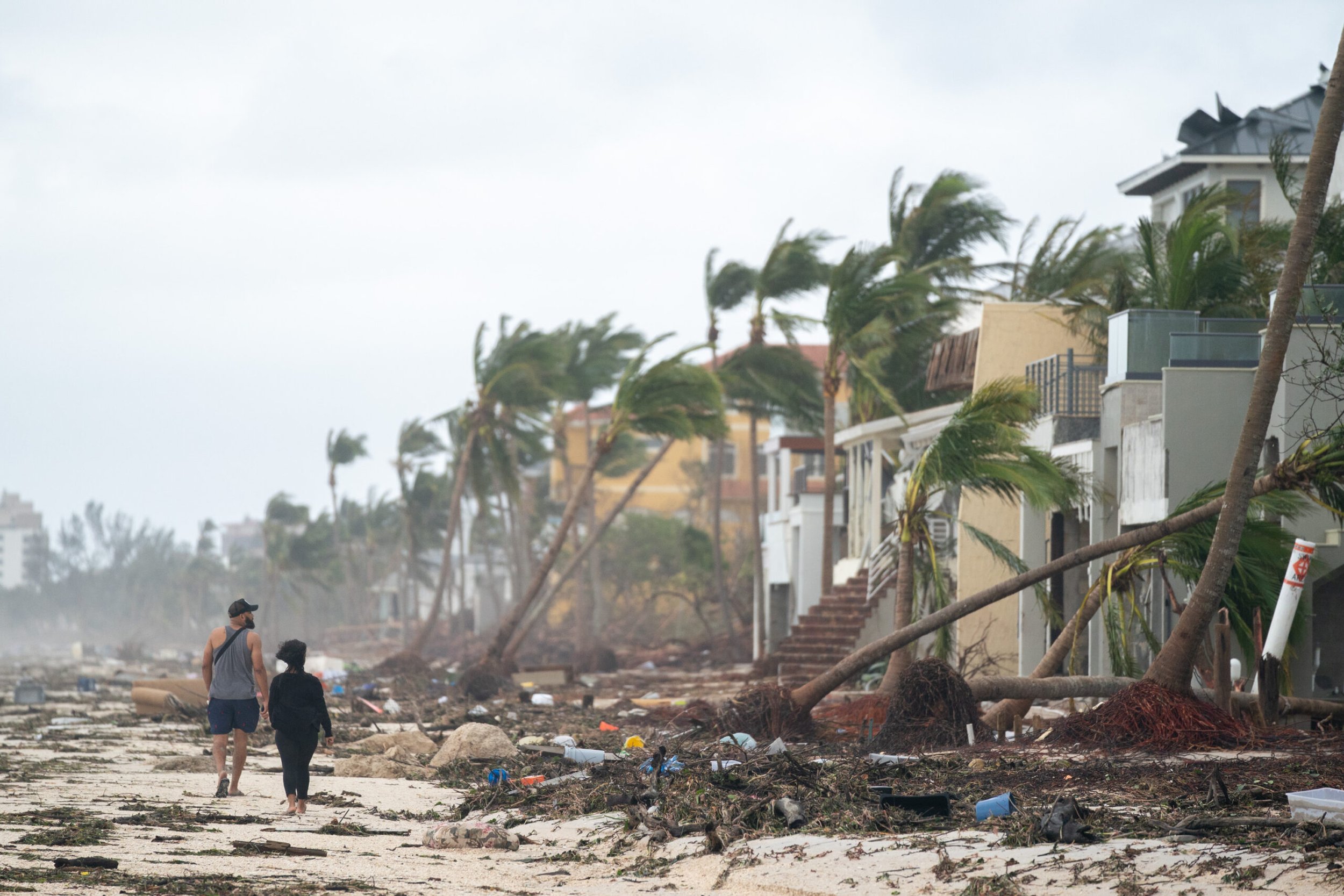2019 Florida Hurricane Season Review | Wright's