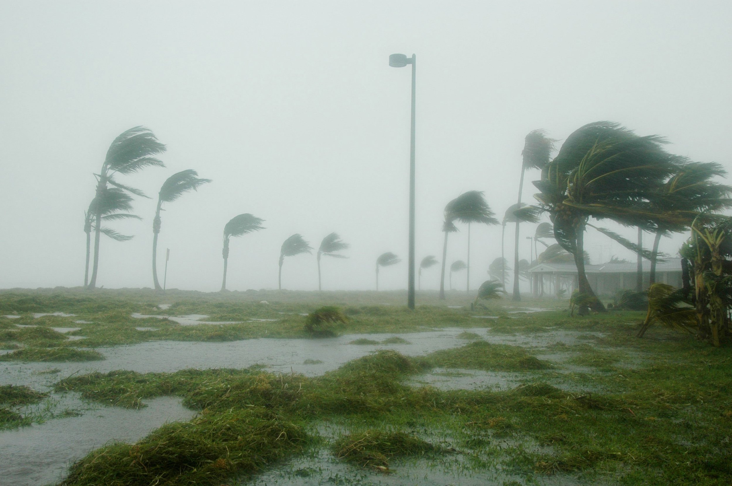 Hurricane Dorian Preparation Tips for Homeowners