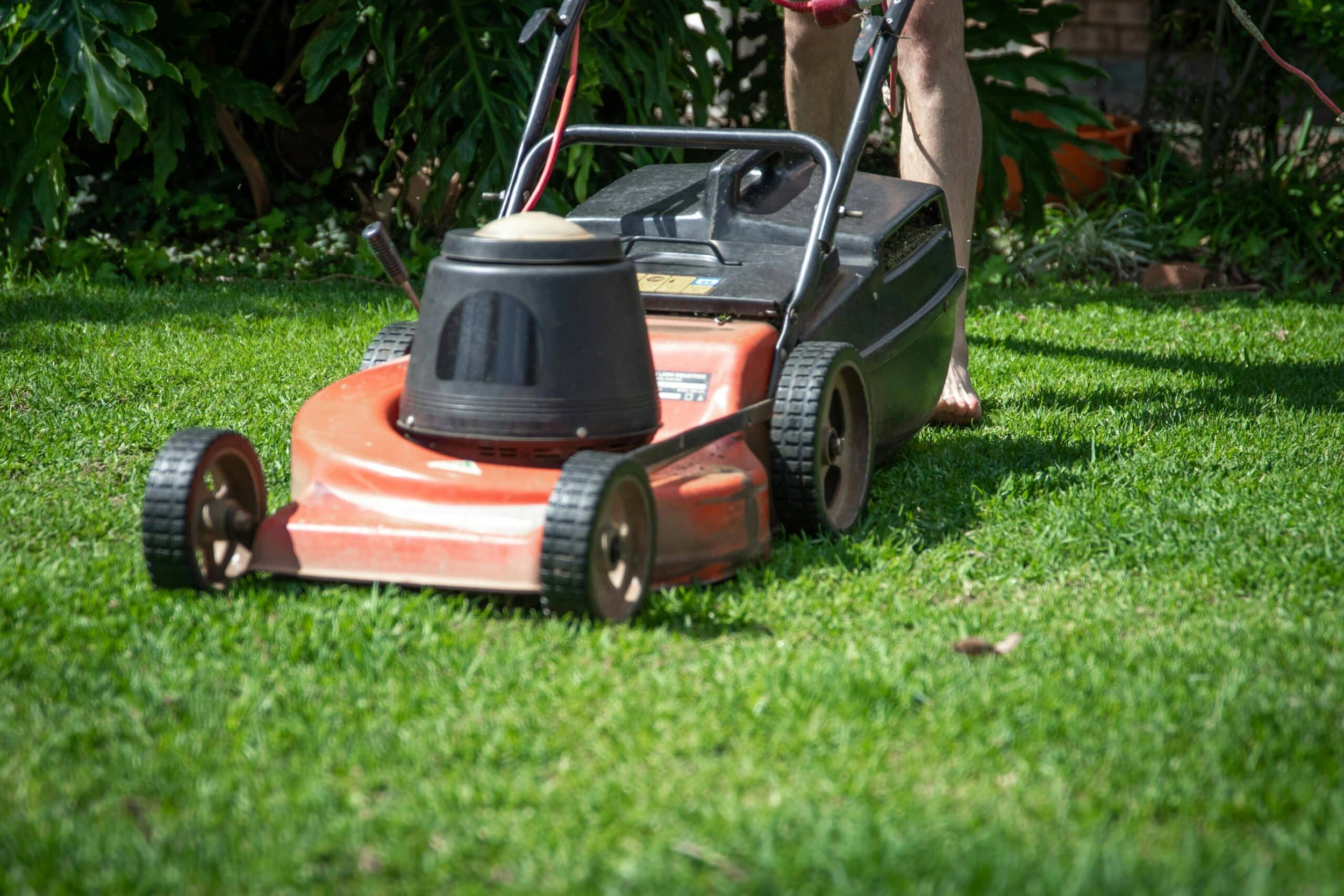 Common Lawn Care Myths You Should Stop Believing