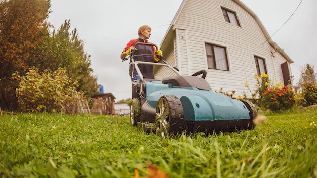 Lawn Care Programs That Save Time & Money