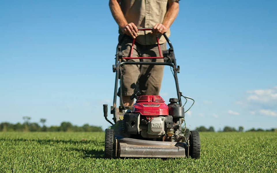 Professional Lawn Mowing Benefits