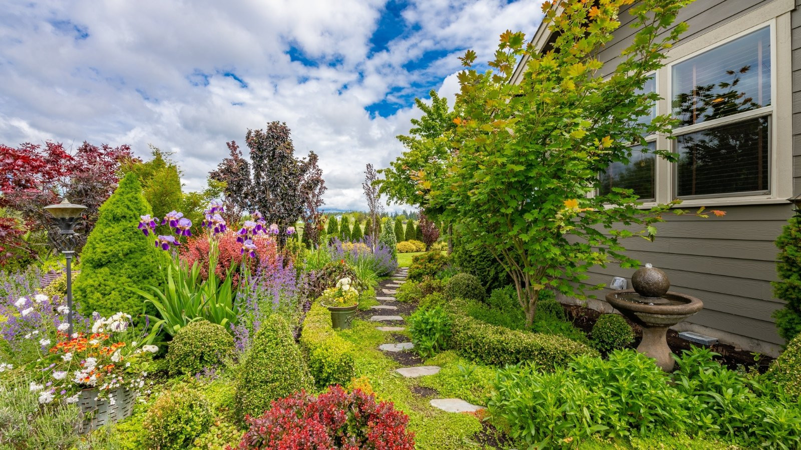 Shrub & Ornamental Care Tips