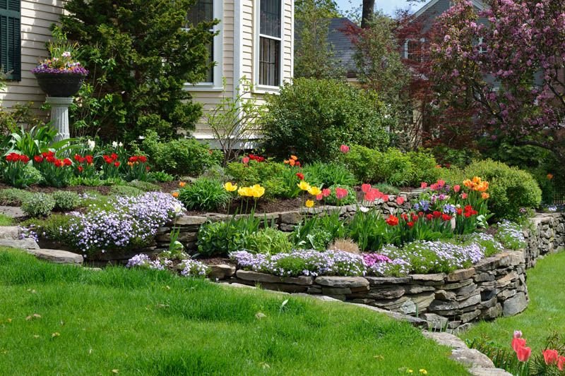 Shrub & Ornamental Care Tips