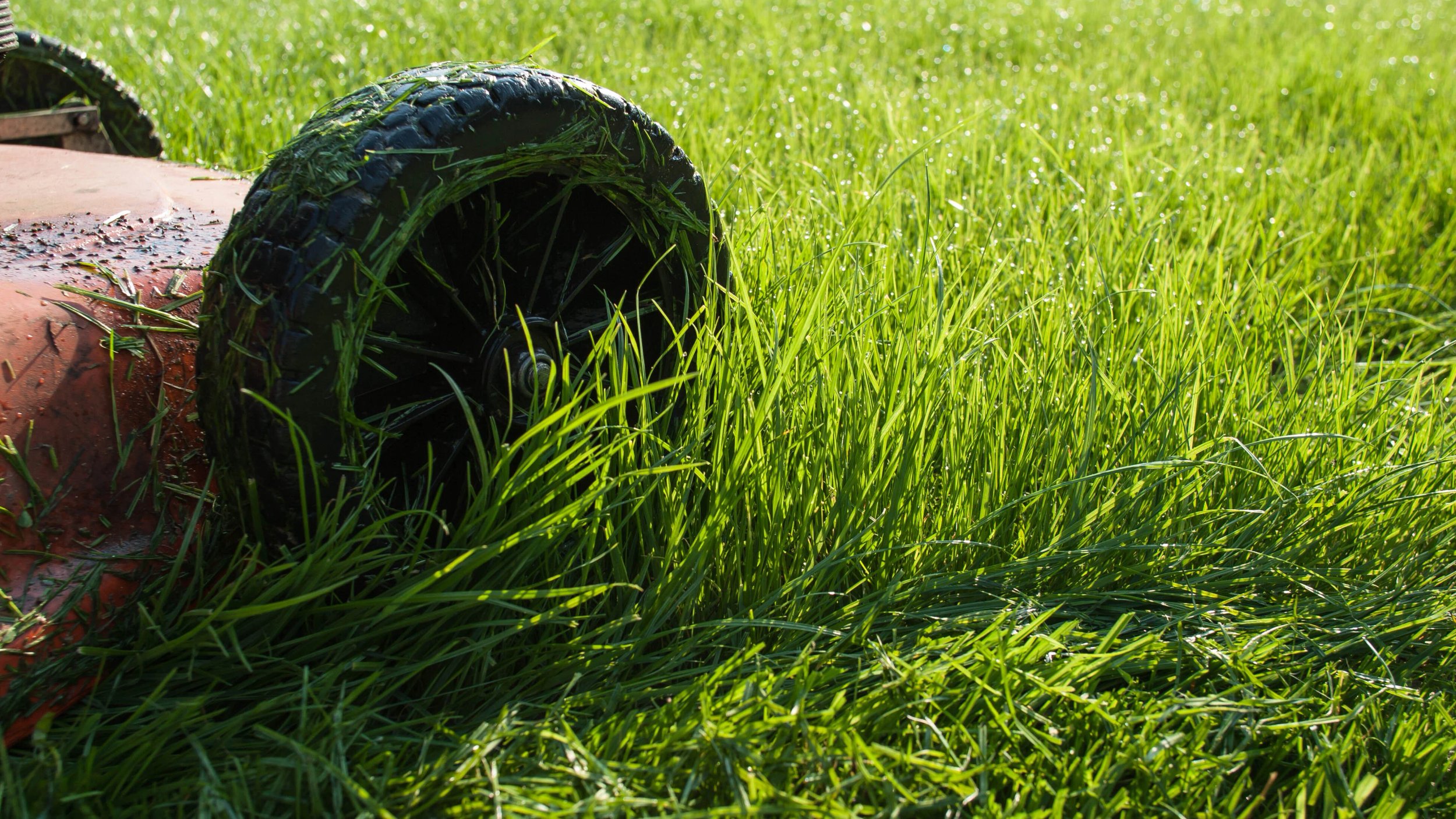 Lawn Care