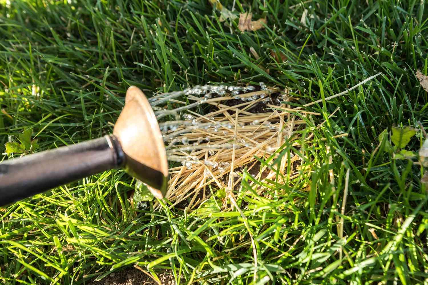 How to Kill Crabgrass Safely