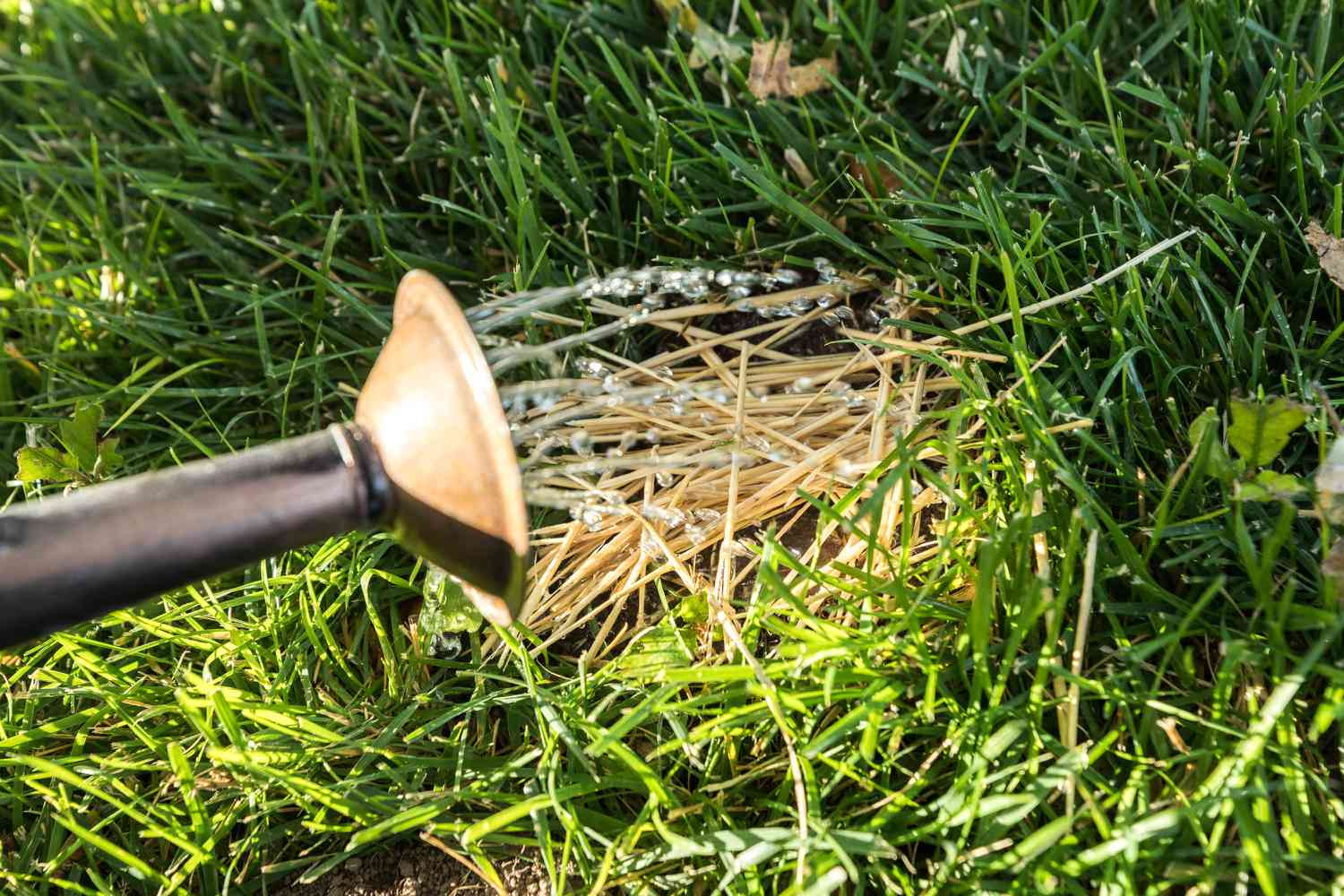How to Kill Crabgrass Safely