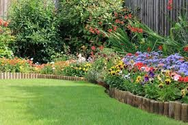 How to Make Your Lawn Thicker