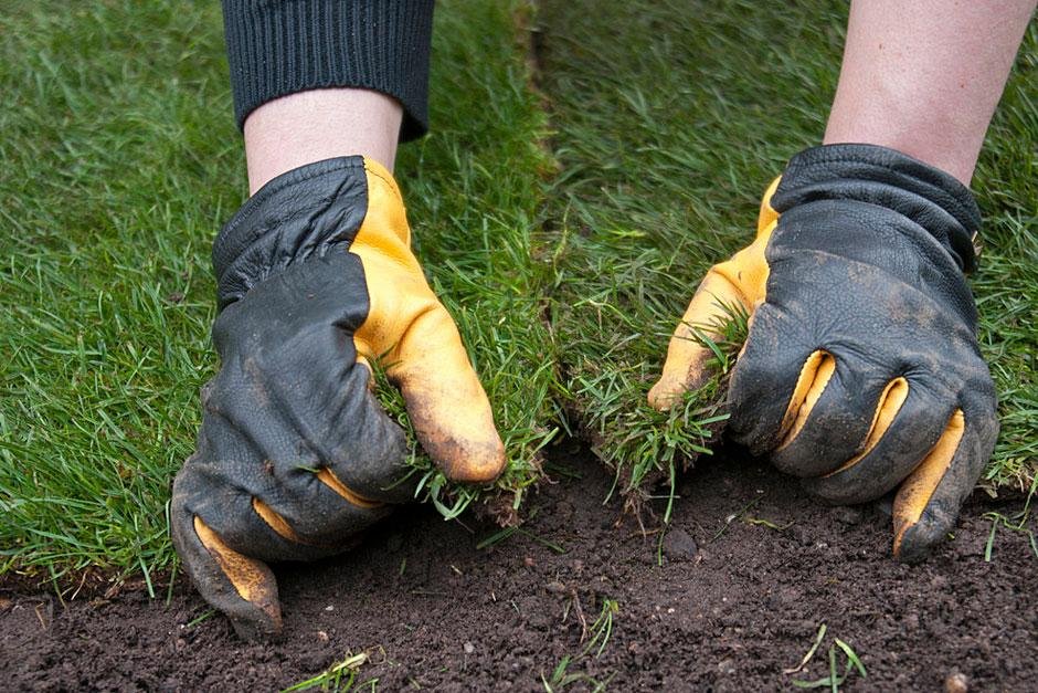 How to Revive a Drought-Damaged Lawn